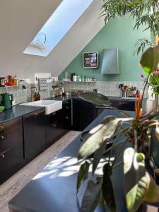 Penthouse With Plants And Art Near Kødbyen