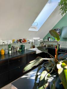 Penthouse With Plants And Art Near Kødbyen