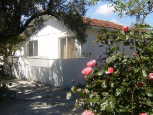 Pension Zoi Rhodes Greece