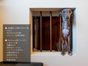 PAW & STAY Mikuni ポーアンドステイ