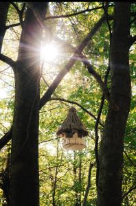 Treehouse Vtáčikovo