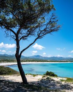 Villino nuovo con giardino a soli 450m dalla spiaggia di Porto Ottiolu