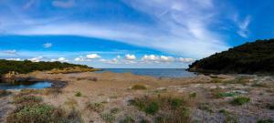 Villino nuovo con giardino a soli 450m dalla spiaggia di Porto Ottiolu