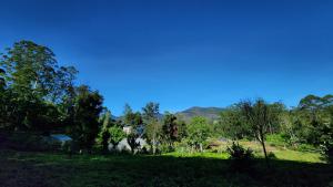 Tea sprig villa