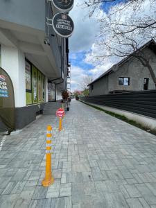 Confort Iasi Apartment Free Parking