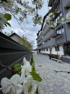 Confort Iasi Apartment Free Parking