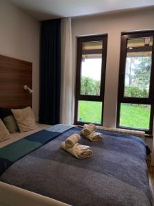 Garden Apartman