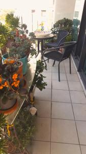 Southbank 1 Bdrm Apartment opp Casino MCEC near CBD