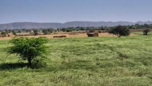 Farm House with newly constructed 2BHK Villa