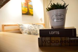 Exclusive Rustic Loft with Terrace