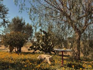 Trullo Occhiazzi