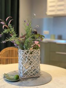 Apartment Oasis