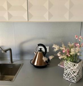 Apartment Oasis