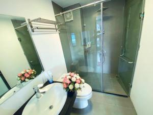 AMAYZING SKY View TG02