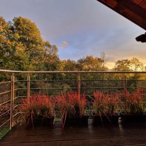 Apartament z tarasem nad Potokiem, przy Szlaku na Równicę