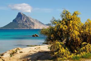 Villetta Iolanda - 5min. to the sea | San Teodoro