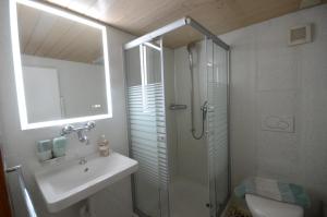 Cosy apartment in heritage protected swiss chalet