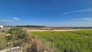 Farm House with newly constructed 2BHK Villa