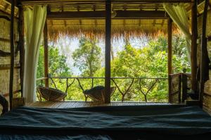 Kactus - Your Island Sanctuary