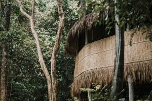 Kactus - Your Island Sanctuary
