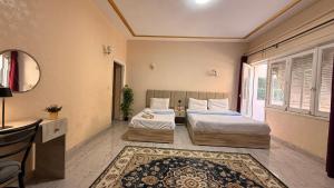Erasmus Private Apartments in Downtown Cairo