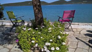 Villa Penelope - Unique beachfront house