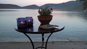 Villa Penelope - Unique beachfront house