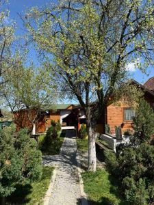 Apartmani Gavrilović