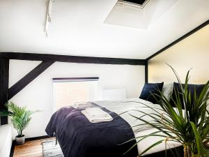 Premium Jacuzzi Apartment, Cracow Old Town