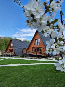 Twin Cabins Cabanele Gemene