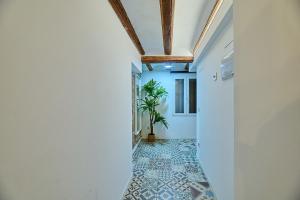 Tree Plaza B Suite with terrace by Invalencia