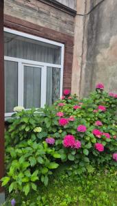 Graudu street apartment