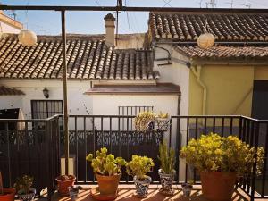 Apartamento con Terraza - Centro de Granada