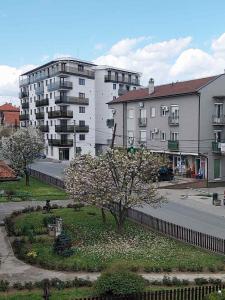 Apartman Petar 1