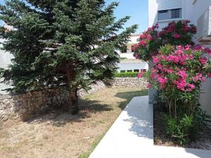 Cukar Apartment Gajac