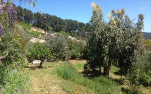 Le gite les bancaous