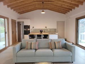 Forest and Sea view villas