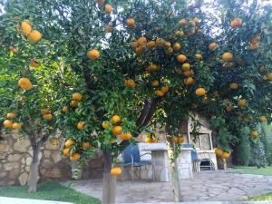 Villa Lemóni by the sea with swimming pool and amazing view