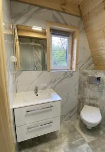 Bieszczadzki Reset A-Frame 793-903-243