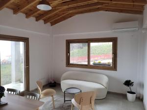 Forest and Sea view villas