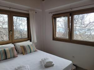 Forest and Sea view villas