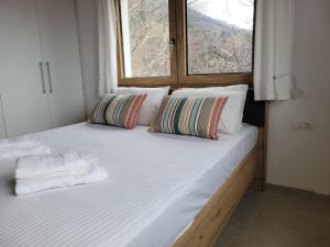 Forest and Sea view villas