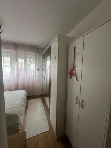 Apartment Dodo