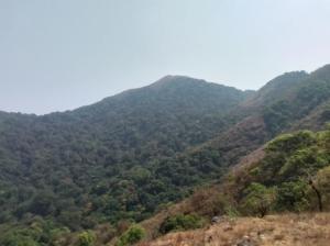 COORG CLlMATE FARM HOUSE