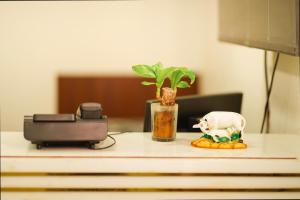 Hotel KS PALACE SARANATH