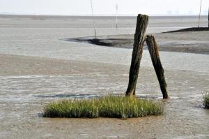 Strandhotel Deichläufer