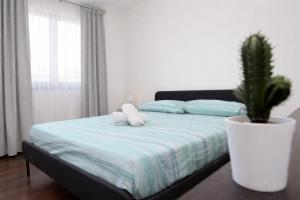 Anzio Guest House