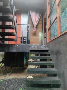 Private Room Crystal Jungle House- King Bed-Private Bathroom - Roof Top