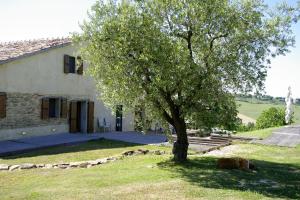 Villa Canarecchia by MMega