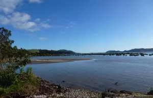 Oystercatcher Bay Boathouse - 科罗曼德镇